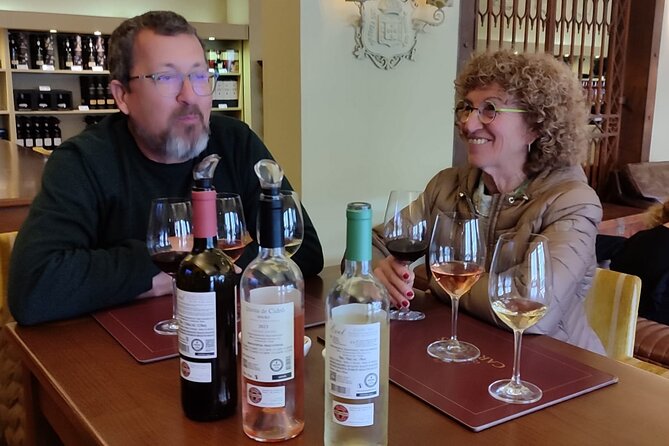 Experience in the Douro: Tua de Rabelo, Quinta, Tasting and Lunch - Quinta time: farm visit and wine tasting without guesswork