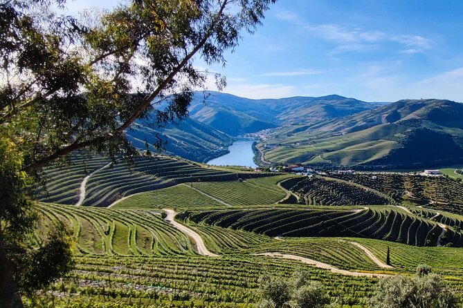 Experience in the Douro: Tua de Rabelo, Quinta, Tasting and Lunch - Pinhão Railway Station and the feeling of place