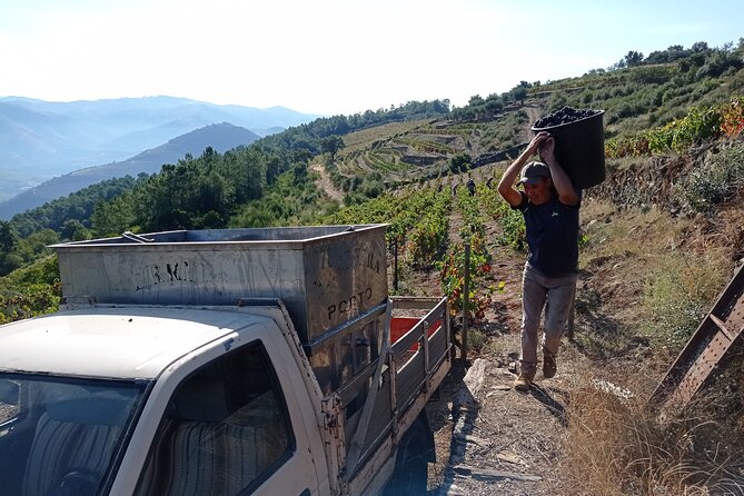 Experience in the Douro: Tua de Rabelo, Quinta, Tasting and Lunch - Casal de Loivos miradouro: the quick viewpoint payoff