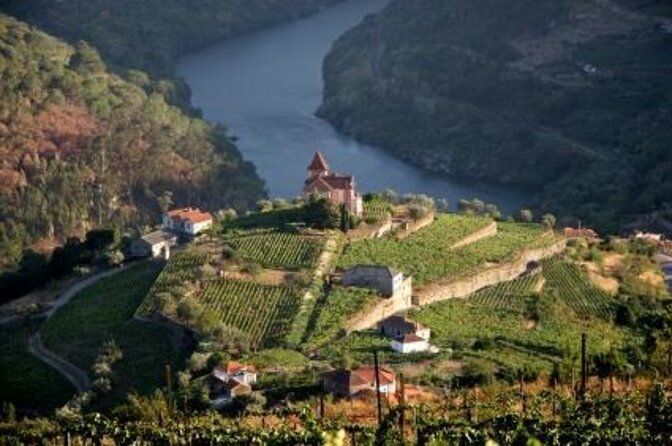 Feel Douro Tour - Key points to know before you go