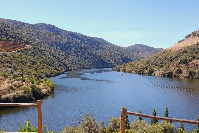 Feel Douro Tour - Seasonal fruit picking: a small stop with a big payoff