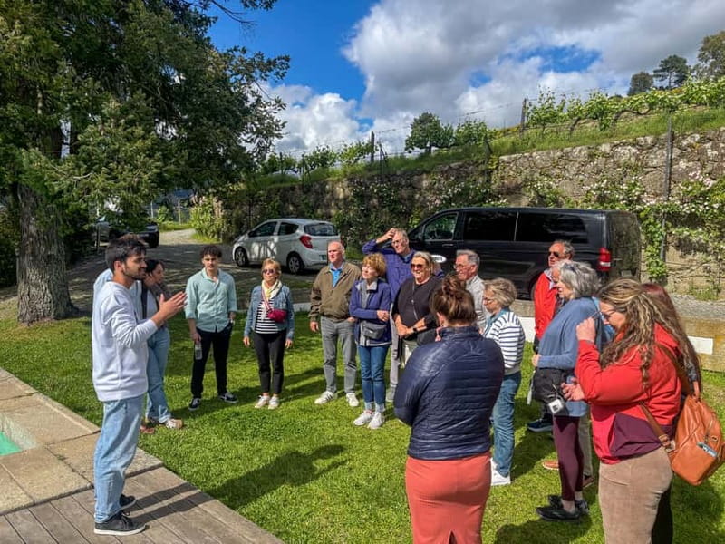 Fresh Wine Tour: Discover Vinho Verde in Douro Valley - AD Wines in Loivos da Ribeira: granitic soil and minerality