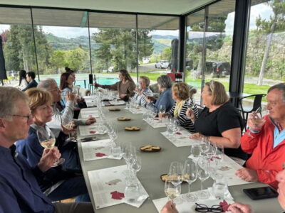Fresh Wine Tour: Discover Vinho Verde in Douro Valley