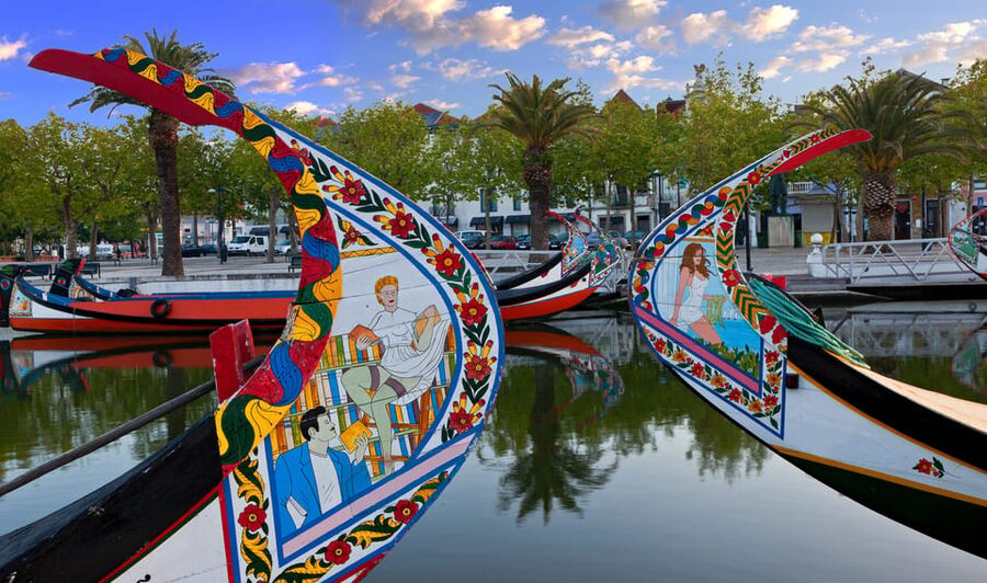 From Coimbra: Porto, Aveiro and Douro in Private with Tasting and Cruise - Aveiro and the moliceiro canals, plus ovos moles