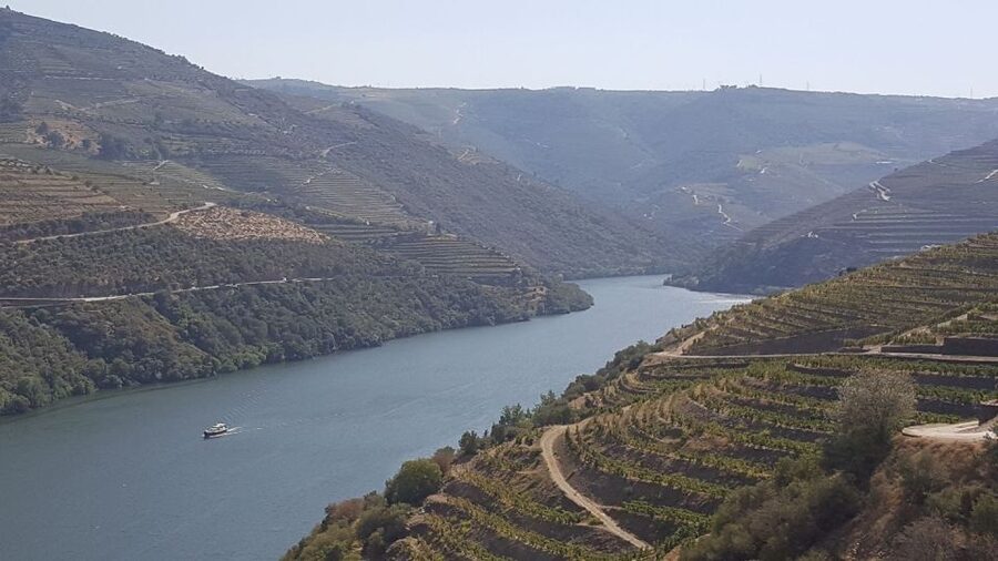 From Gaia Douro Valley Tour Wine Tasting River Cruise Lunch - Practical tips so the day runs smoothly
