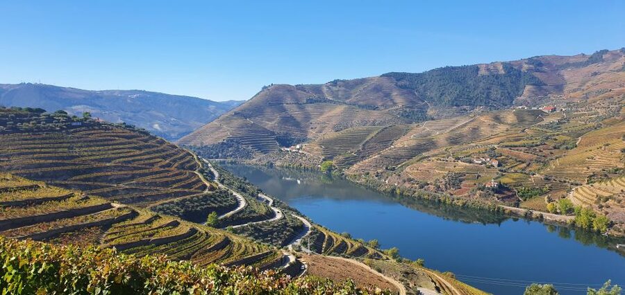 From Gaia Douro Valley Tour Wine Tasting River Cruise Lunch - Value check: why $139 feels fair for wine, lunch, and a river cruise