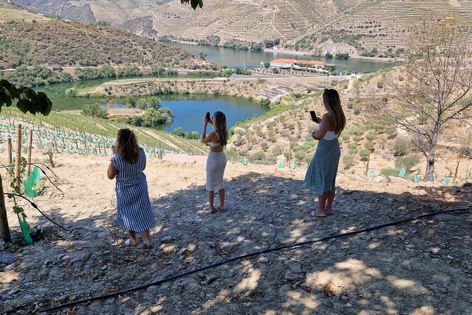 From Gaia Tour to Douro Valley with Boat Wine Tasting and Lunch - Key things I’d watch for