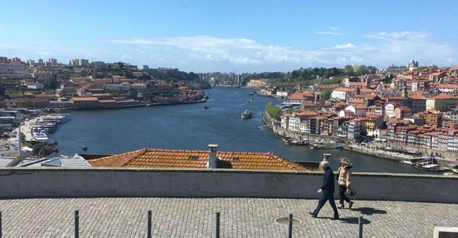 From Lisbon: Douro Valley and Porto Town Experience - The big picture: a Porto and Douro day that stays focused