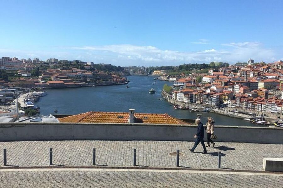 From Lisbon: Douro Valley and Porto Town Experience - The van-and-guide experience: small group, big difference