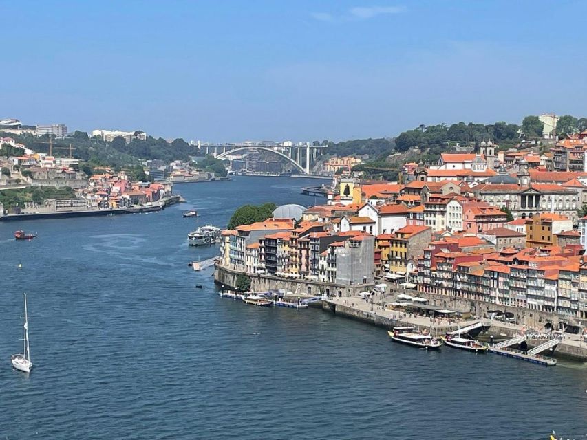 From Lisbon: Douro Valley and Porto Town Experience - Who this trip is best for