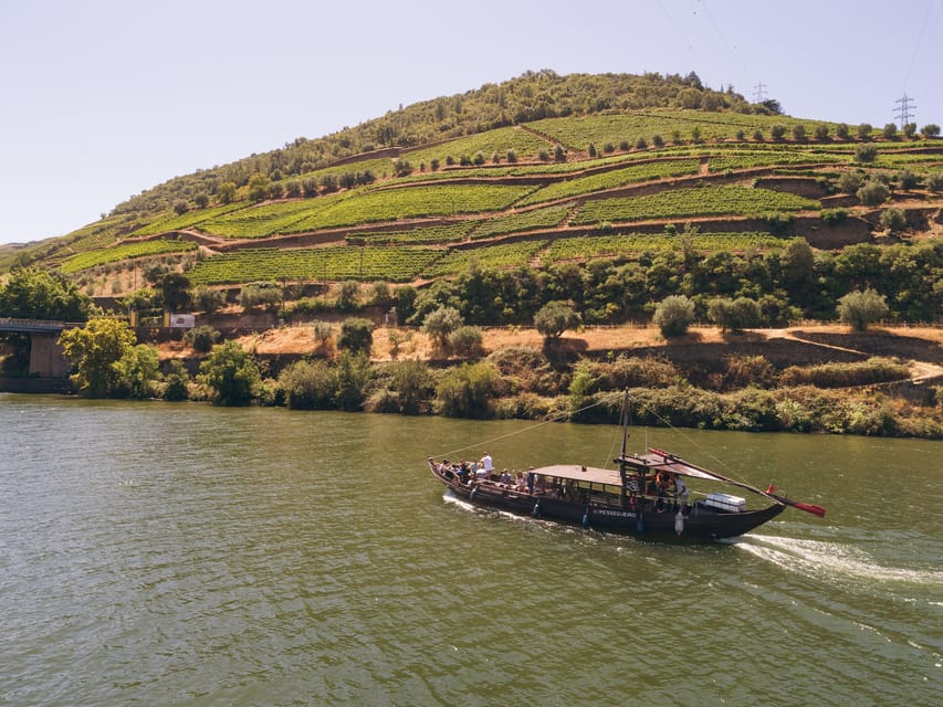 From Pinhão: Douro Valley Rabelo Boat Tour with Port Wine - Pet-Friendly Cruising: Bring the Companion, Plan for Their Comfort