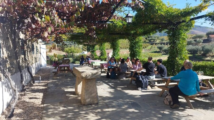 From Pinhão: Douro Valley Tour w/ Wine Tasting and Boat Trip - Guides that make or break the day: humor, stories, and Q&A