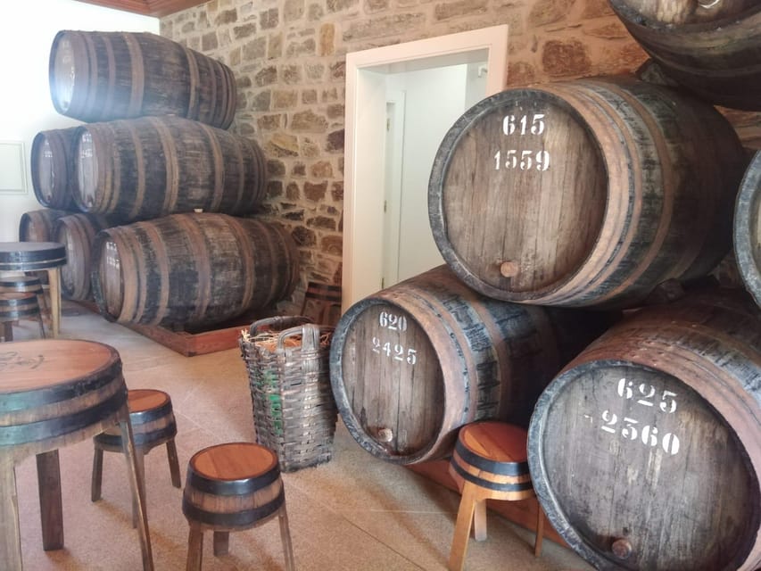 From Pinhão: Douro Valley Tour w/ Wine Tasting and Boat Trip - Who should book this Douro.Tours Pinhão trip