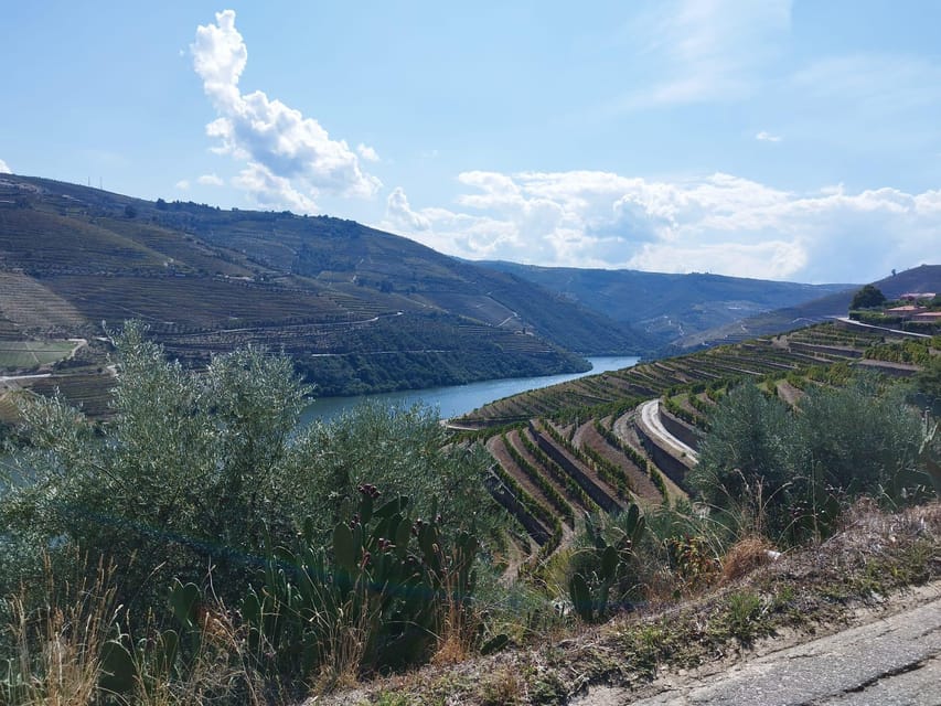 From Pinhão: Douro Valley Tour w/ Wine Tasting and Boat Trip - Should you book this tour from Pinhão?