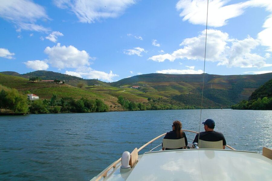 From Pinhão: Private Yacht Cruise along the Douro River - Price and value: $82 per person for a private yacht feel