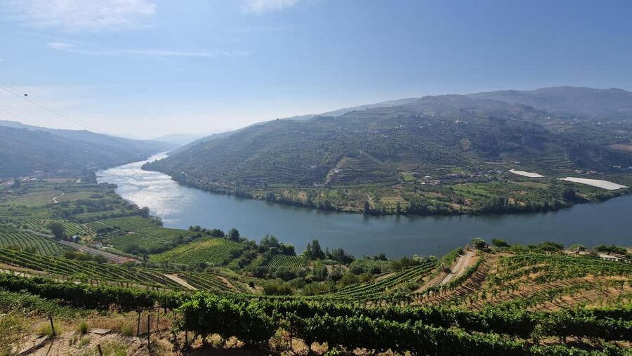 From Porto Day Douro Valley Wine Tour 2 Wine Tasting & Lunch - A 9-hour Douro day that feels curated, not rushed