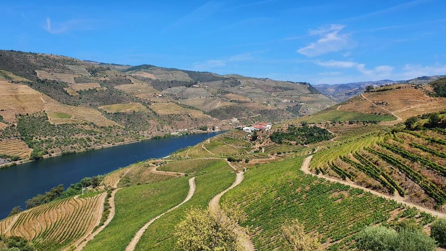 From Porto Day Douro Valley Wine Tour 2 Wine Tasting & Lunch - Rabelo boat cruise on the Douro River: calm water, big views