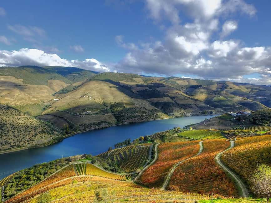 From Porto: Douro Valley - half a day on a wine experience - The viewpoint stop en route: photos, fresh air, and a fast orientation