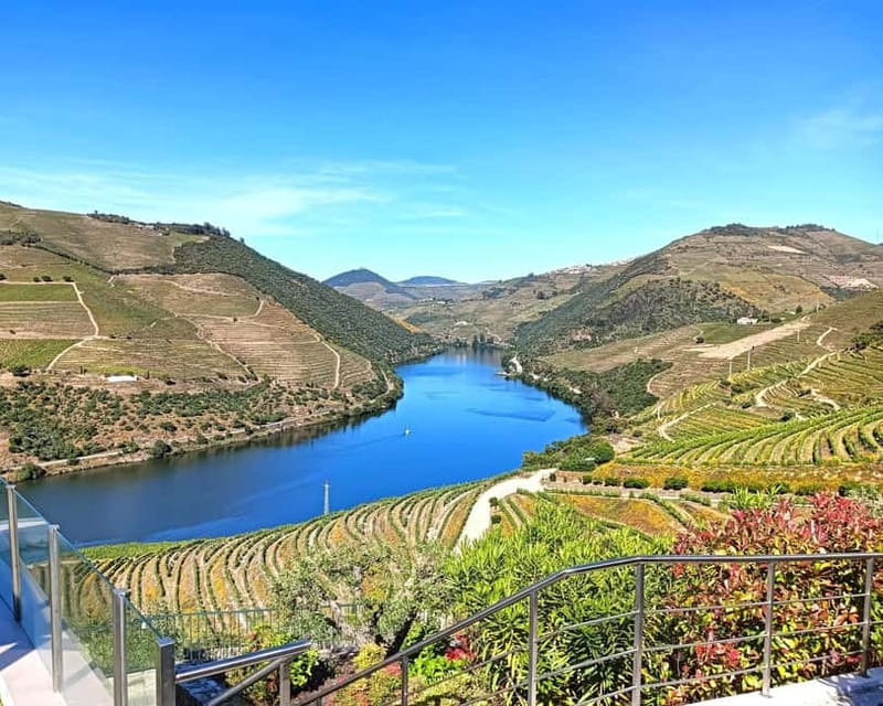 From Porto: Douro Valley Private Tour w/ 3 Wineries & Lunch - Key Points That Matter