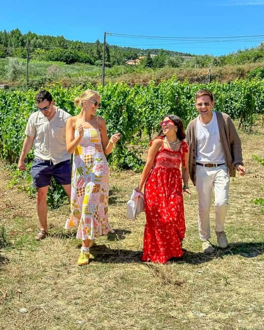 From Porto: Douro Valley Private Tour w/ 3 Wineries & Lunch - A Private Douro Day With 3 Tastings, Not a Factory Tour