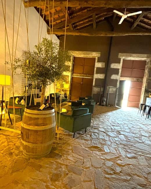 From Porto: Douro Valley Private Tour w/ 3 Wineries & Lunch - Practical Tips So Your Day Stays Fun