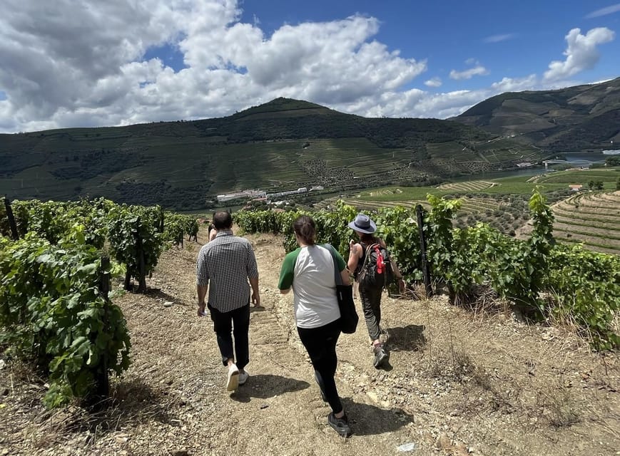 From Porto : Douro Valley sightseeing with 1 Winery Visit - Who this tour is best for, and who should skip it