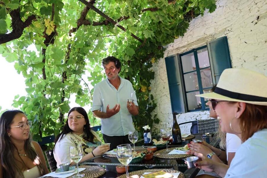 From Porto : Douro Valley sightseeing with 1 Winery Visit - A Porto to Douro Valley day that balances driving and self-guided time