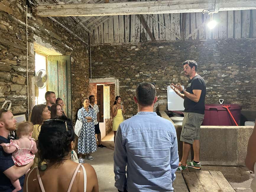 From Porto : Douro Valley sightseeing with 1 Winery Visit - Peso da Régua: a smaller stop that still adds breathing space