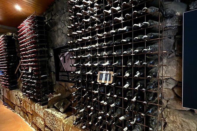 From Porto: Douro Valley Tour with 2 Wineries, Lunch and Cruise - Vale do Douro Winery Lunch: DOC Tastings and Port Comparisons
