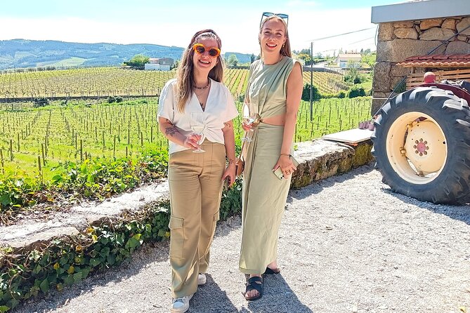 From Porto: Douro Valley Tour with 2 Wineries, Lunch and Cruise - What You Taste, and Why Those Choices Matter