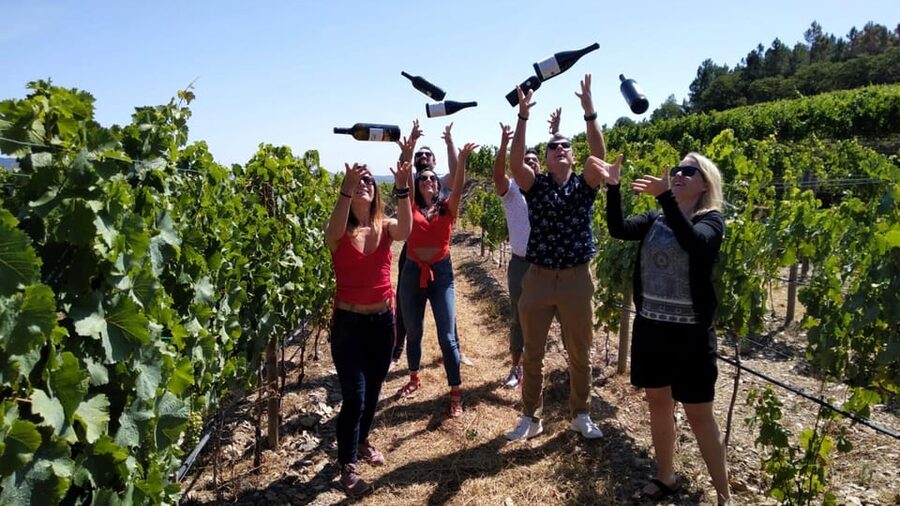 From Porto: Douro Valley Tour with Tastings, Boat & Lunch - Key Things I’d Pay Attention To