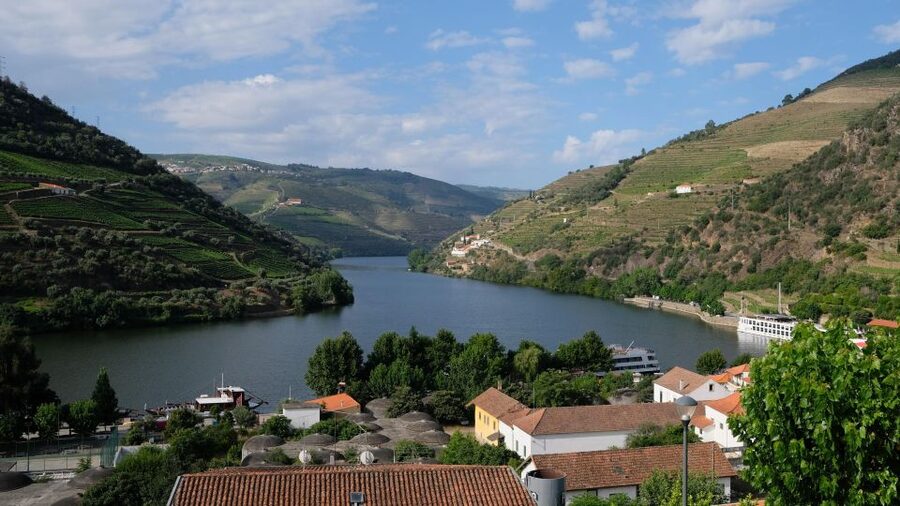 From Porto: Douro Valley Tour with Tastings, Boat & Lunch - First Winery Stop: Douro DOC Tasting With Hands-On Context