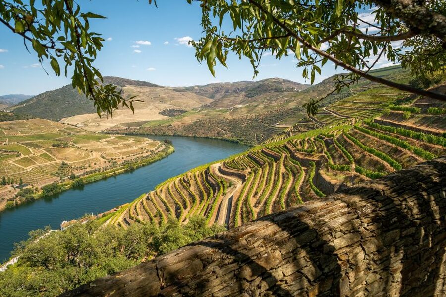 From Porto: Douro Valley Tour with Tastings, Boat & Lunch - Lunch in the Douro: 3 Courses Paired With Local Wine