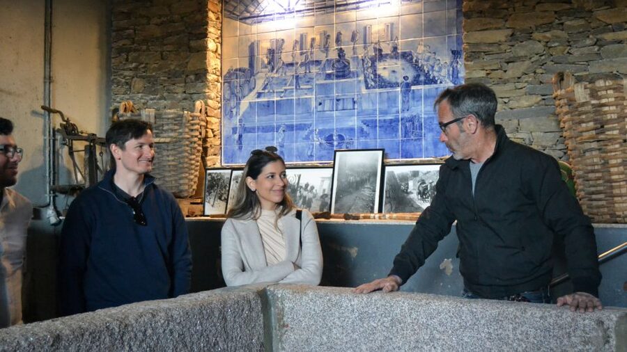 From Porto: Douro Valley Tour with Tastings, Boat & Lunch - What to Buy, and How to Avoid a Regret Bottle