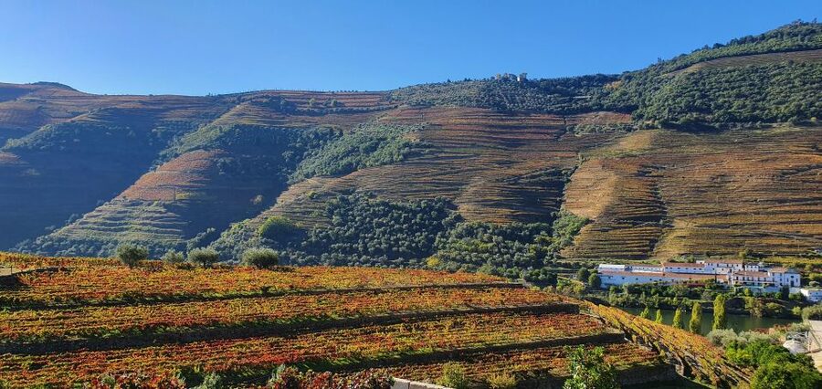 From Porto Douro Valley Tour with Train and Vinho Verde - N222 scenic drive and a flexible stop for photos