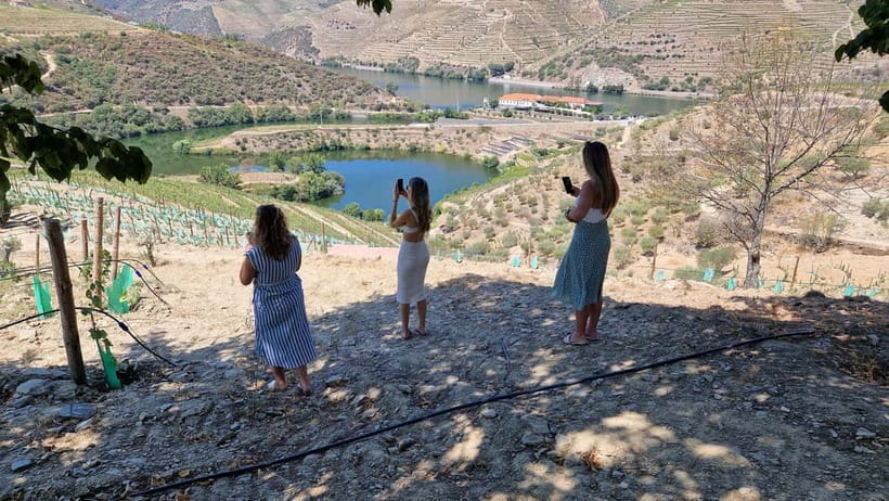 From Porto Douro Valley Tour with Train and Vinho Verde - Train ride and the feel of a region, not a checklist
