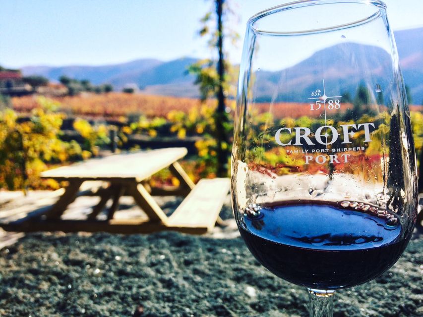 From Porto: Douro Valley w/ Boat Tour, Wine Tasting & Lunch - The Second Pinhão Visit: Another Guided Tasting, Plus Olive Oil Testing
