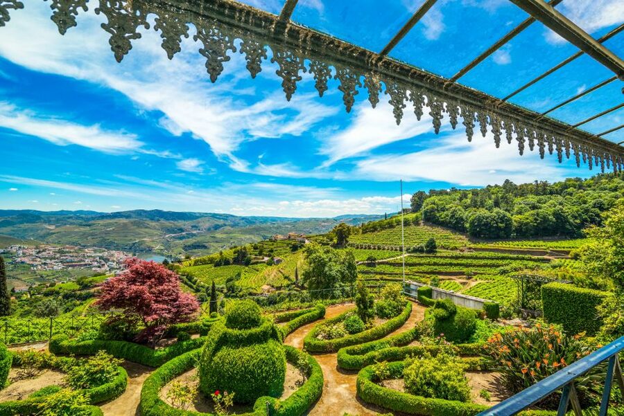 From Porto: Douro Valley w/ Boat Tour, Wine Tasting & Lunch - Getting From Stop to Stop: Comfort, Wi-Fi, and the Realities of Group Pacing