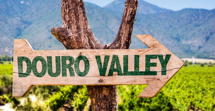 From Porto: Douro Valley w/ Boat Tour, Wine Tasting & Lunch - How the Price Works at About $82 Per Person, and What You’re Really Buying