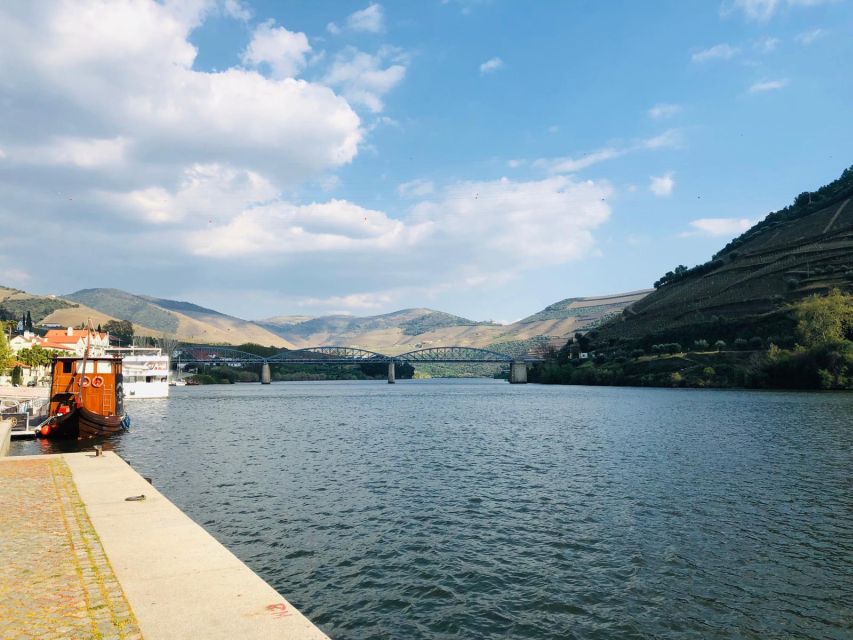 From Porto: Douro Valley Wine Tasting Tour With Hotel Pickup - Who this tour suits best