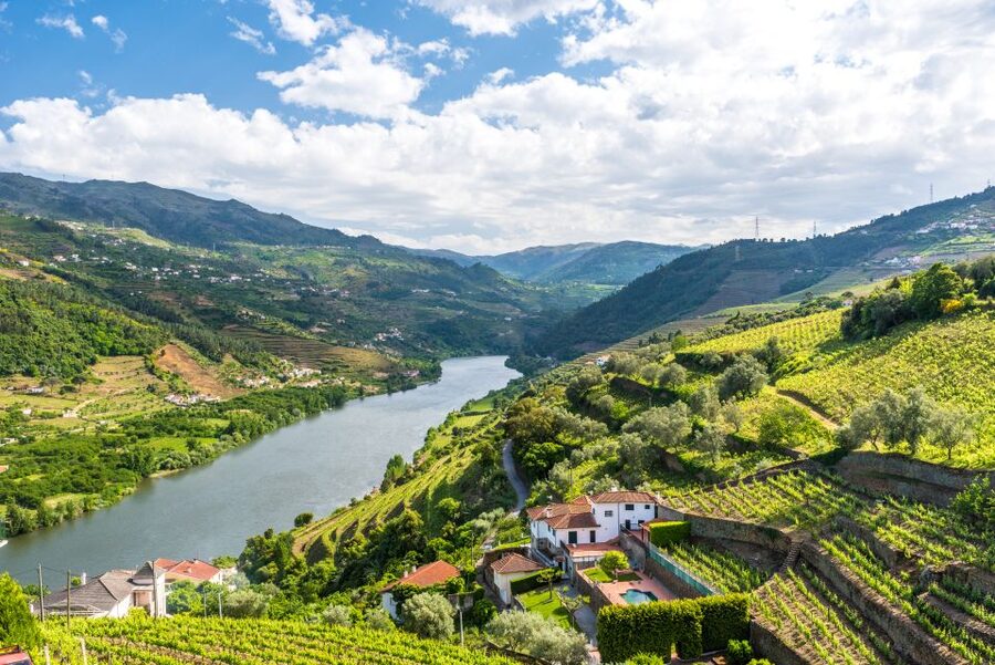 From Porto: Full-Day Douro Historical Tour - Key highlights at a glance