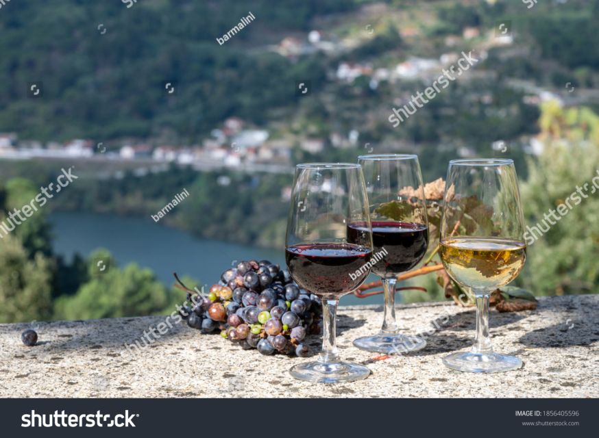 From Porto: Full-Day Douro Historical Tour - Douro Valley by bus, why this route makes sense