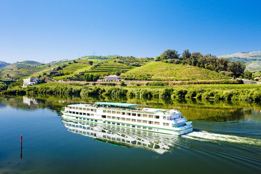 From Porto: Full-Day Douro Historical Tour - The viewpoint stop: quick photos, big payoff