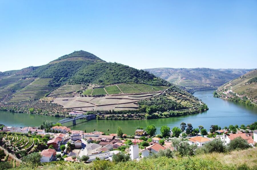 From Porto: Full-Day Douro Historical Tour - Lunch in the Douro region: included energy for the afternoon