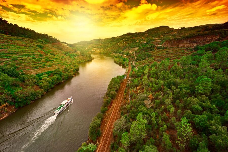 From Porto: Full-Day Douro Historical Tour - Price and value: what $104 buys you