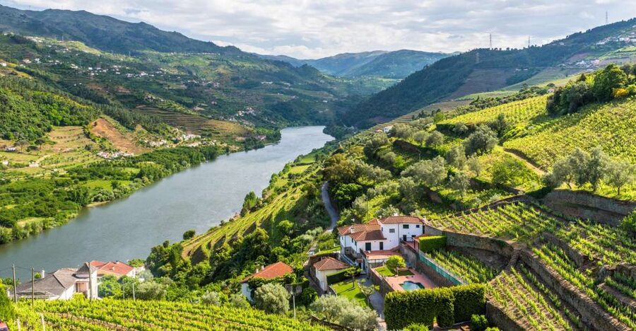 From Porto: Full-Day Douro Historical Tour - Meeting point near São Bento, and why early matters