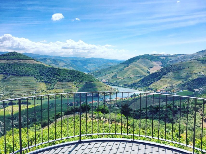 From Porto: Full-Day Douro Valley Trip - Who This Tour Suits Best (and Who Might Want Another Option)