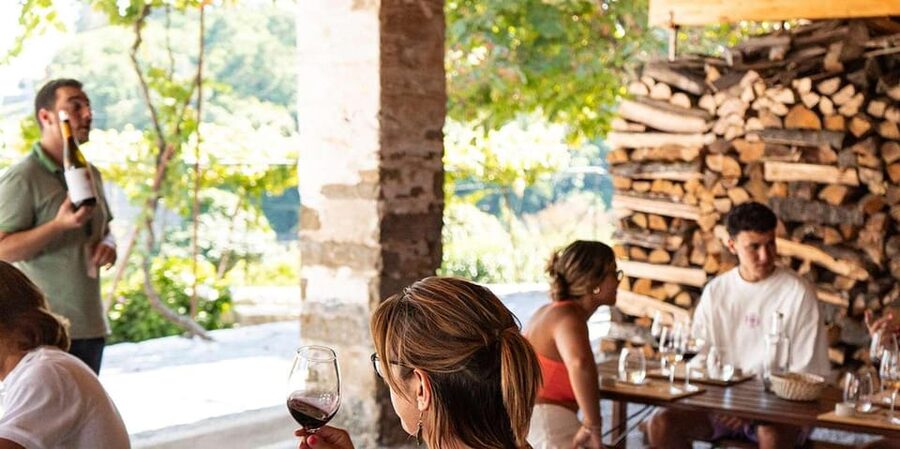 From Porto: Full-Day Douro Valley Trip - Pinhão Boat Cruise: 1 Hour on the Douro River