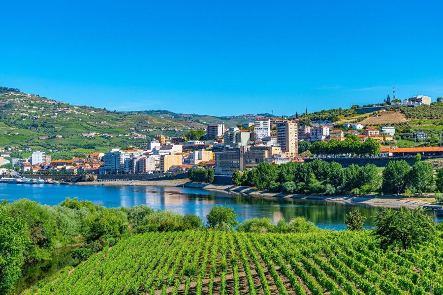 From Porto: Full-Day Douro Valley Trip - Second Winery Visit in Pinhão: Another Producer, Another Tasting Story