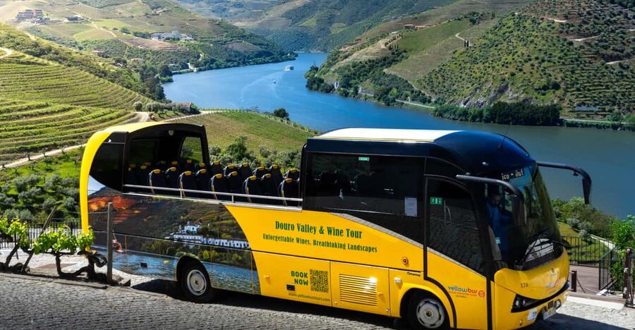 From Porto: Full-Day Douro Valley & Wine Tour with Lunch - Key points to know before you go
